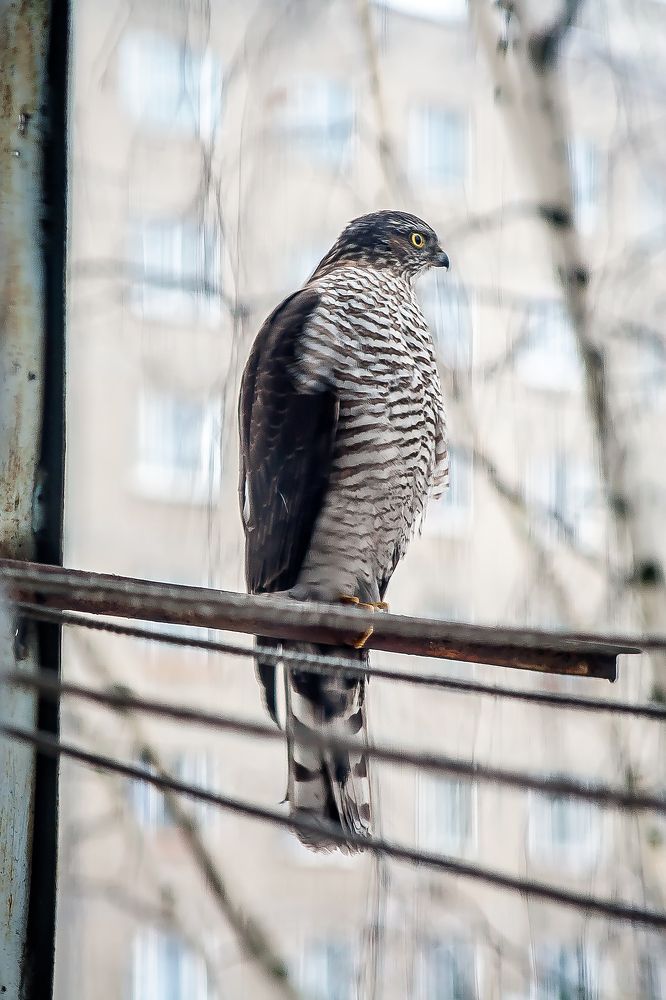 Photograph by Алексей Трифонов