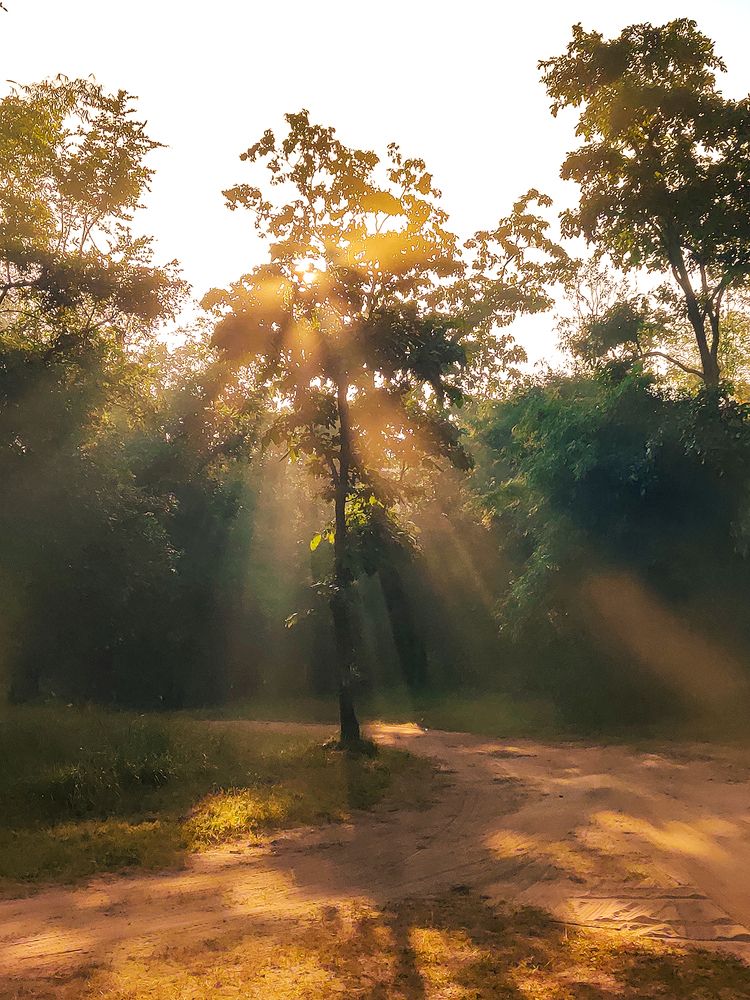 Photograph by Abhishek Kumar