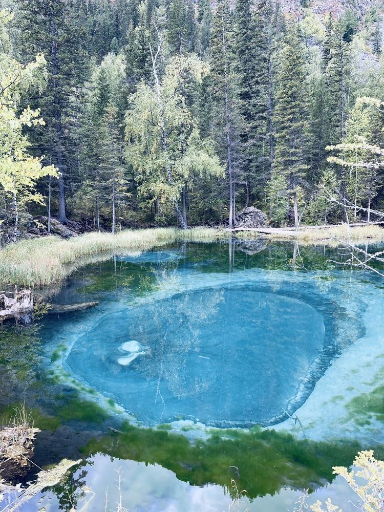 Фотография автора Вячеслав