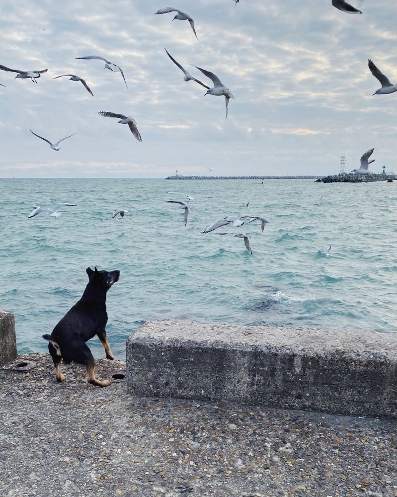 Фотография автора Galina Sa