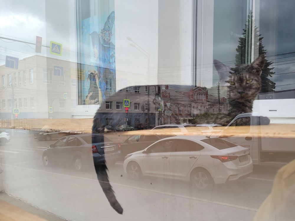 Photograph by Елена Попова