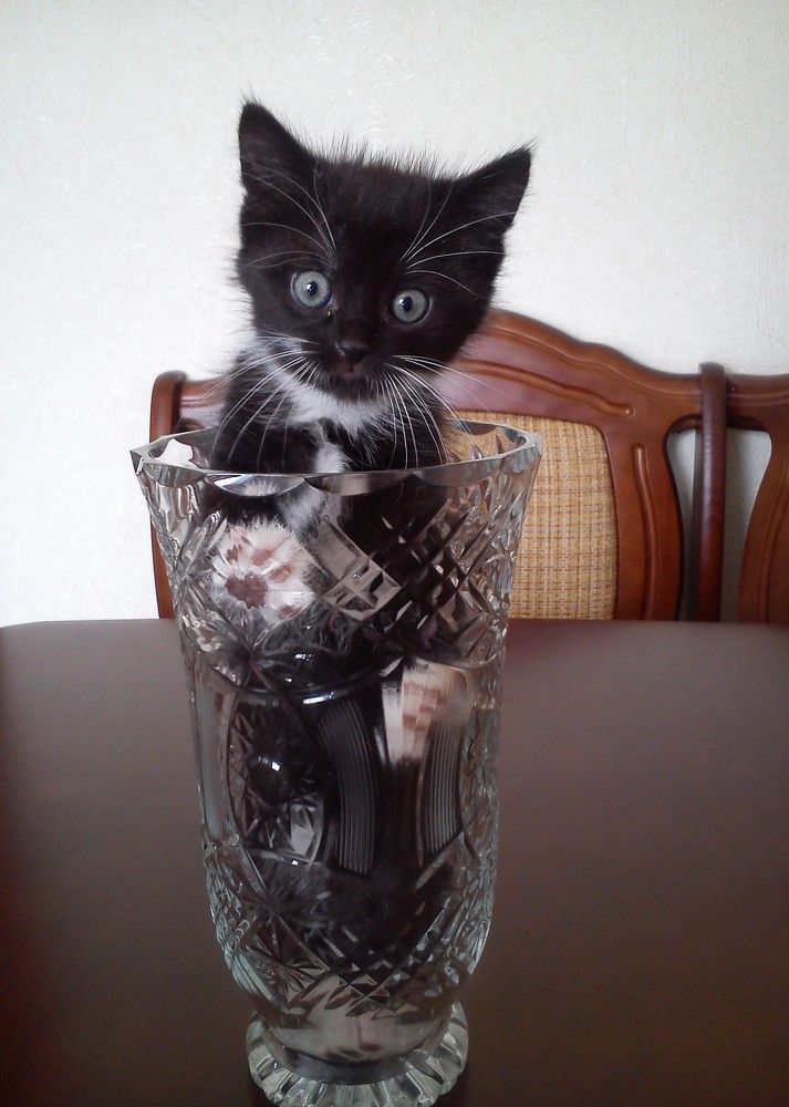 Photograph by Юрий