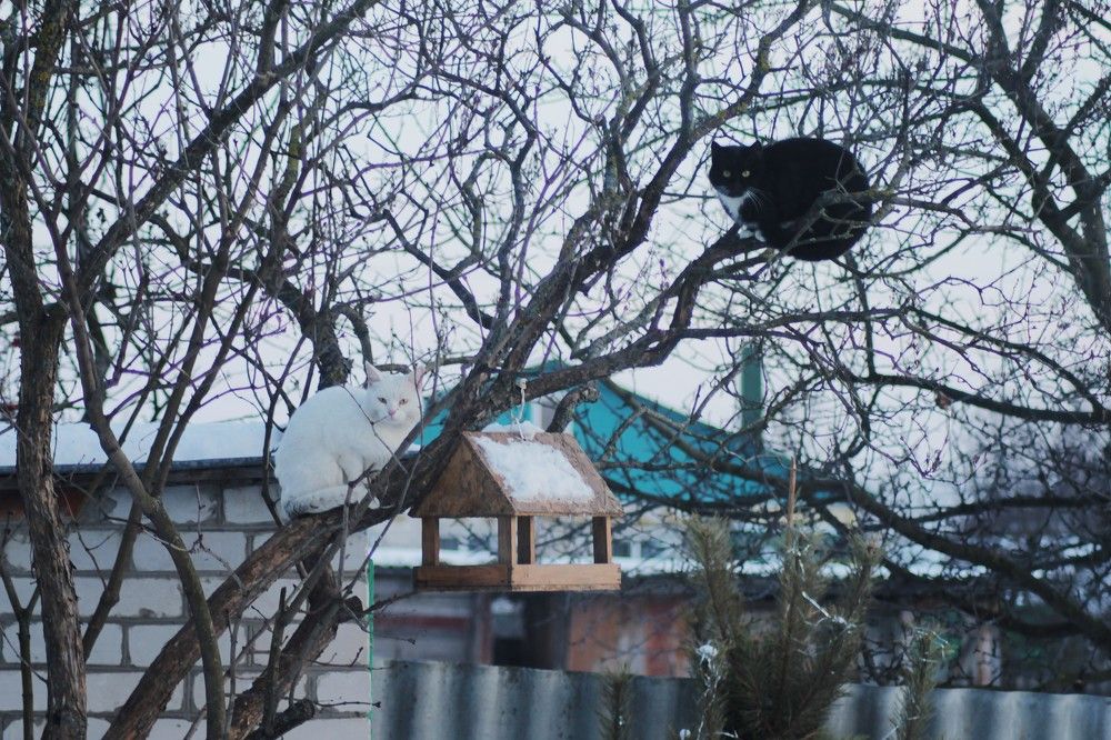 Photograph by Юрий