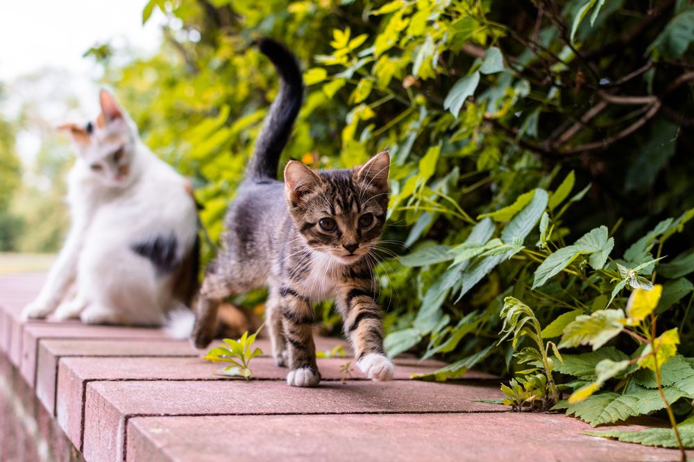 Photograph by Сергей Дишук