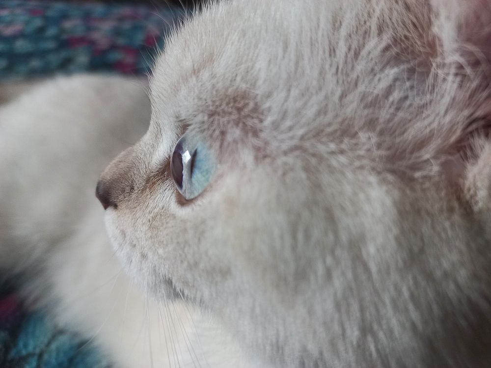 Photograph by Оксана Макарова