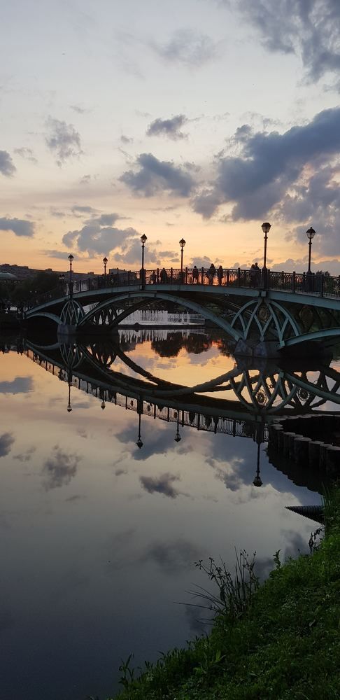 Фотография автора Юлия Золотова