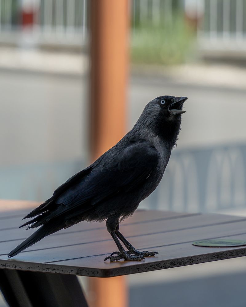 Photograph by Anton Leonchikov