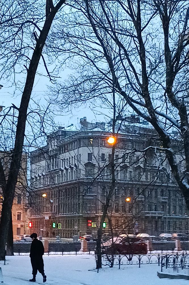 Фотография автора Larisa Meshkova