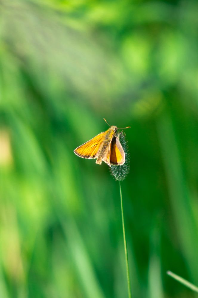 Photograph by Максим Захаров