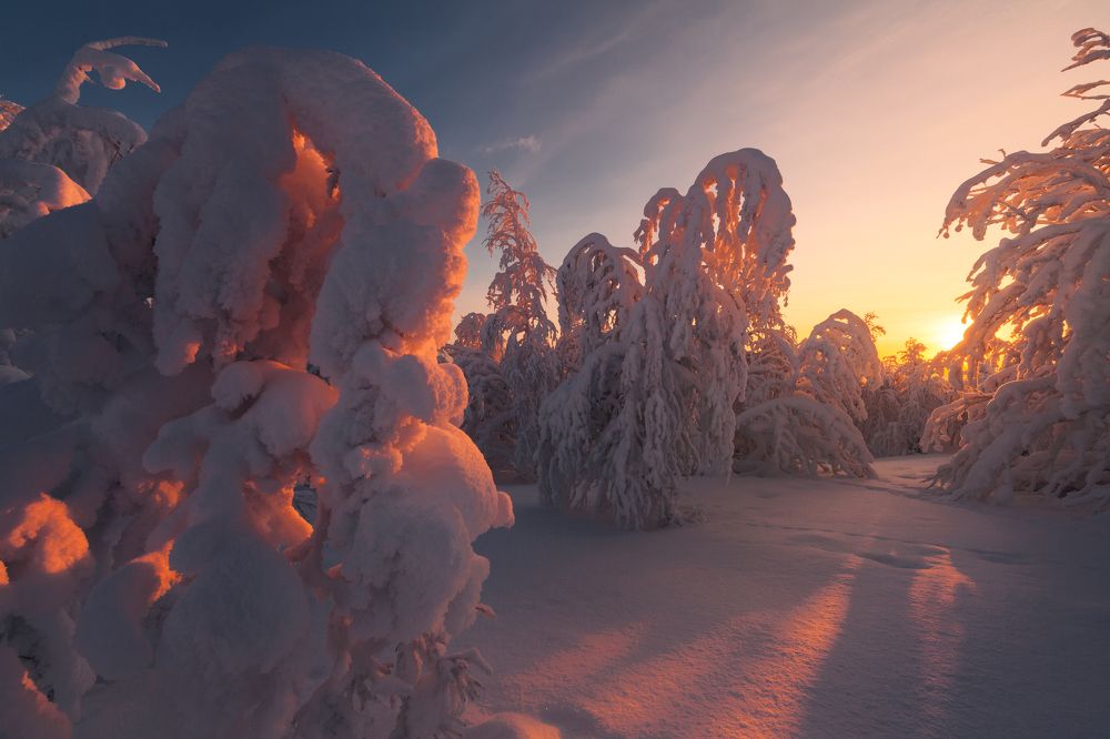 Photograph by Егор Бушмакин