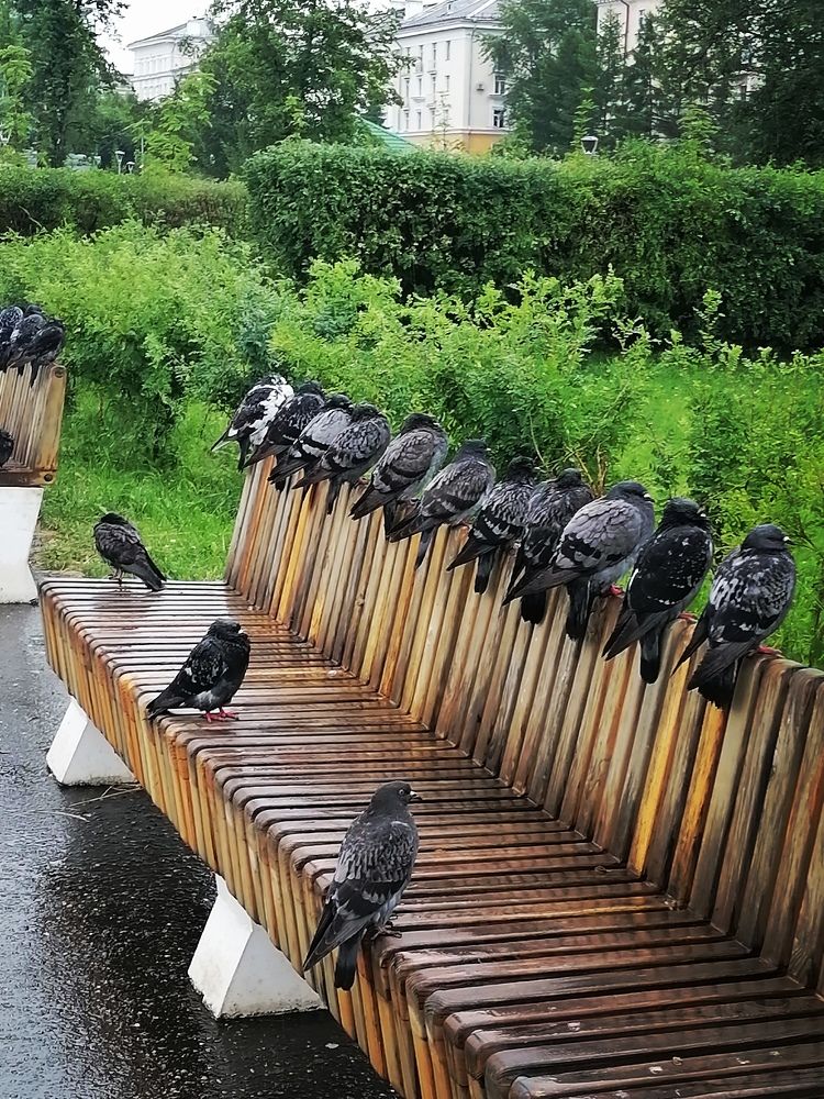 Photograph by Татьяна Бешенкина