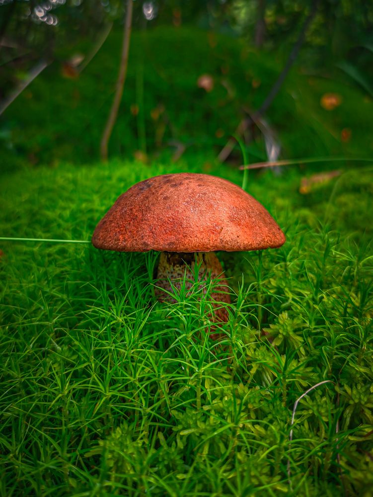 Фотография автора Александр Хухлов