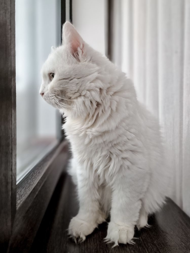 Photograph by Лариса Когтева