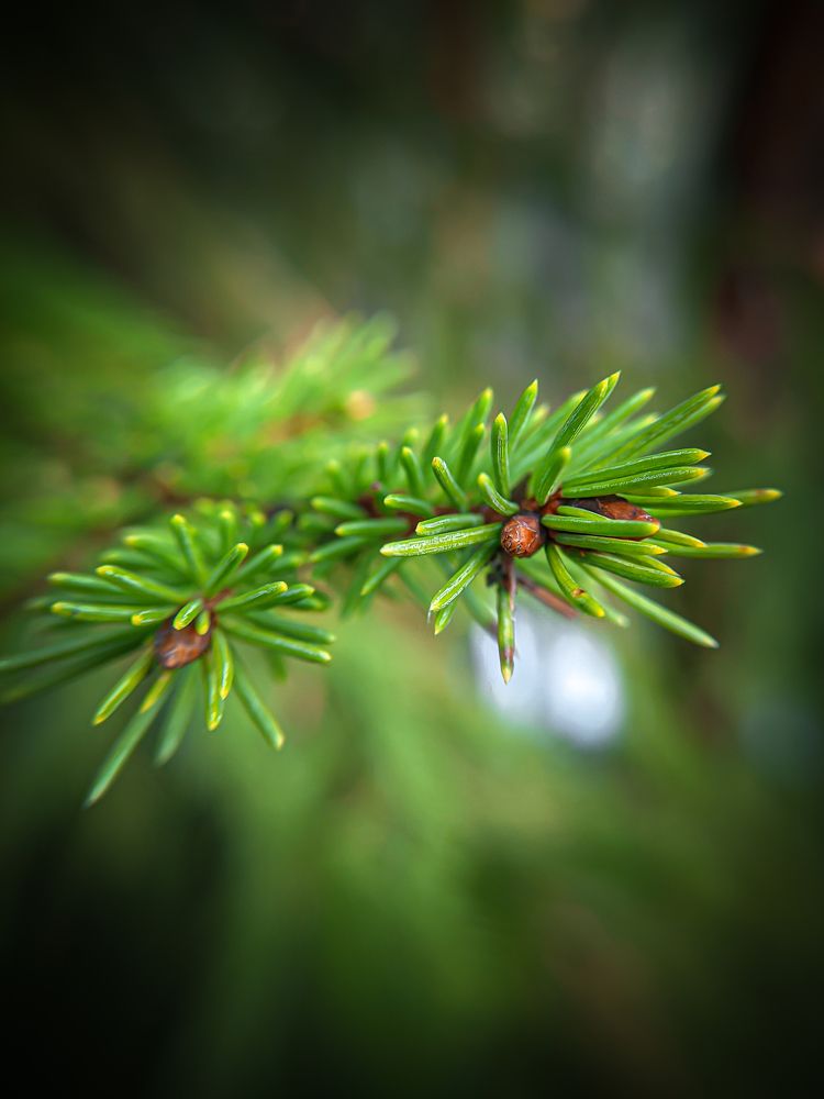 Фотография автора Александр Хухлов