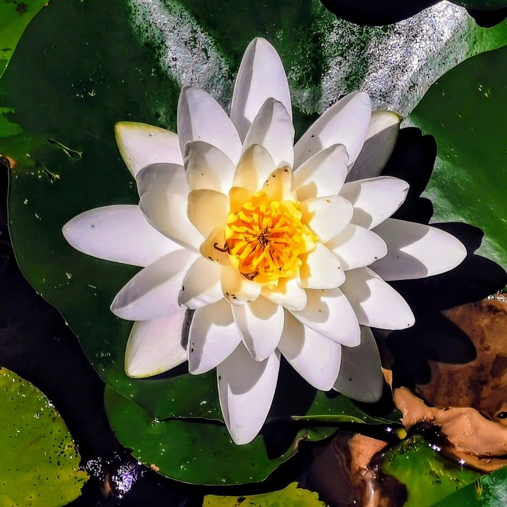 Photograph by Sebastian Aioani