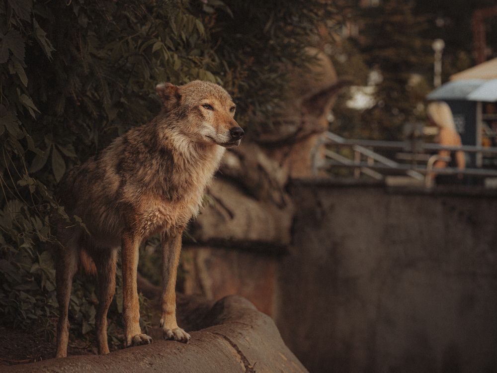 Photograph by Игорь Толкачев