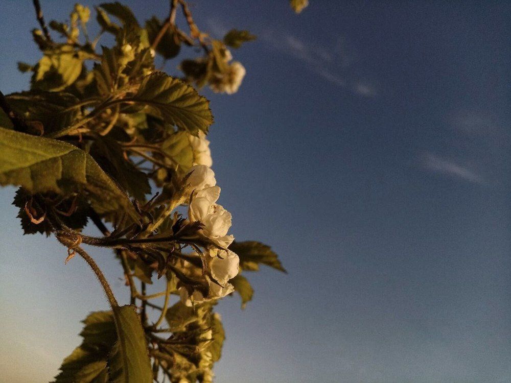 Photograph by Кара Майорова