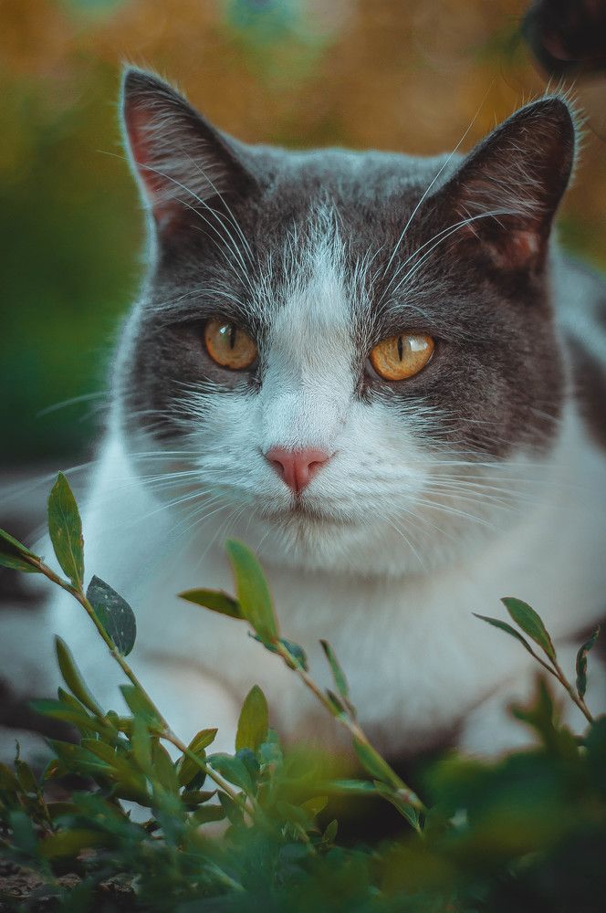 Photograph by Дмитрий Пацук