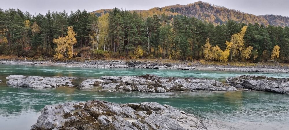 Photograph by наталья