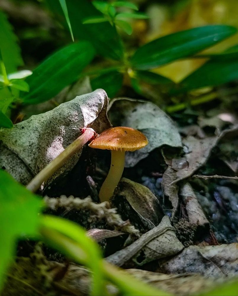 Photograph by Татьяна Радченко