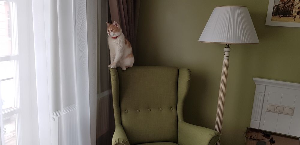 Photograph by наталья