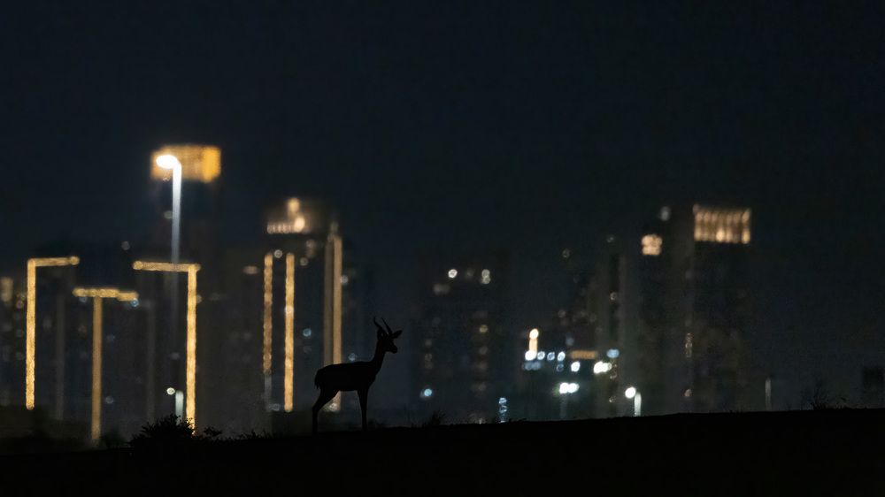 Photograph by Rémi Vacher