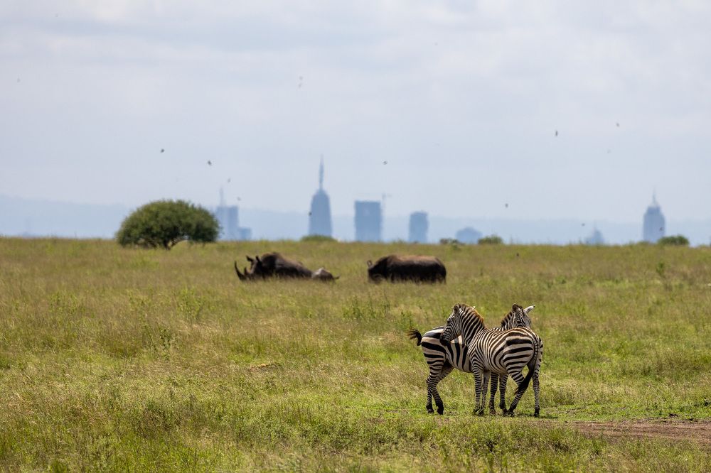 Photograph by Rémi Vacher