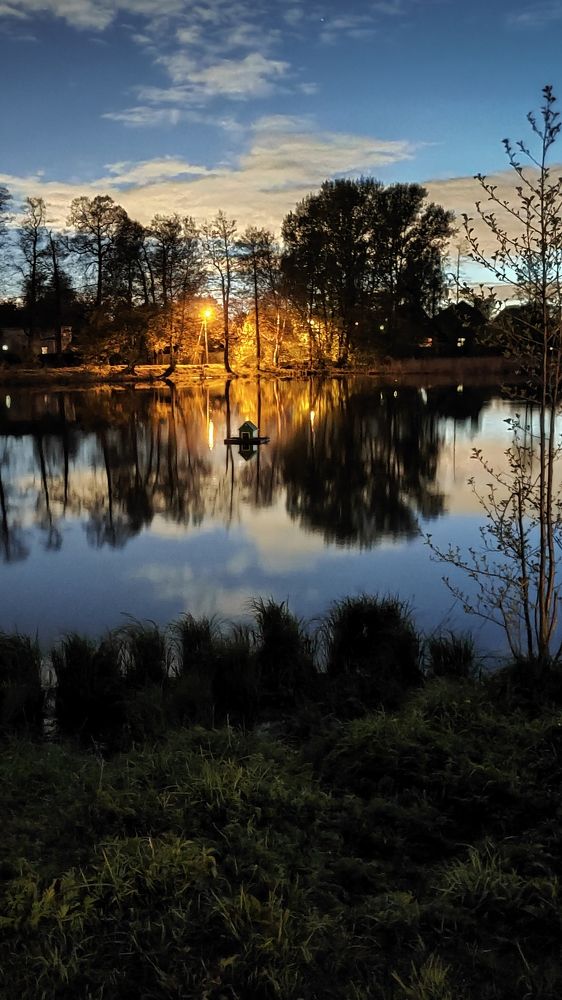 Photo #10796791