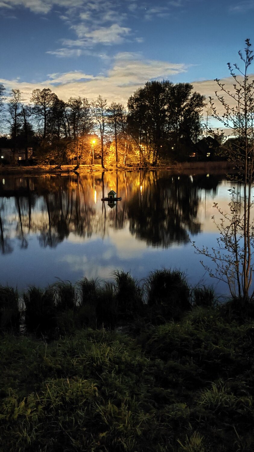 Photo #10796791