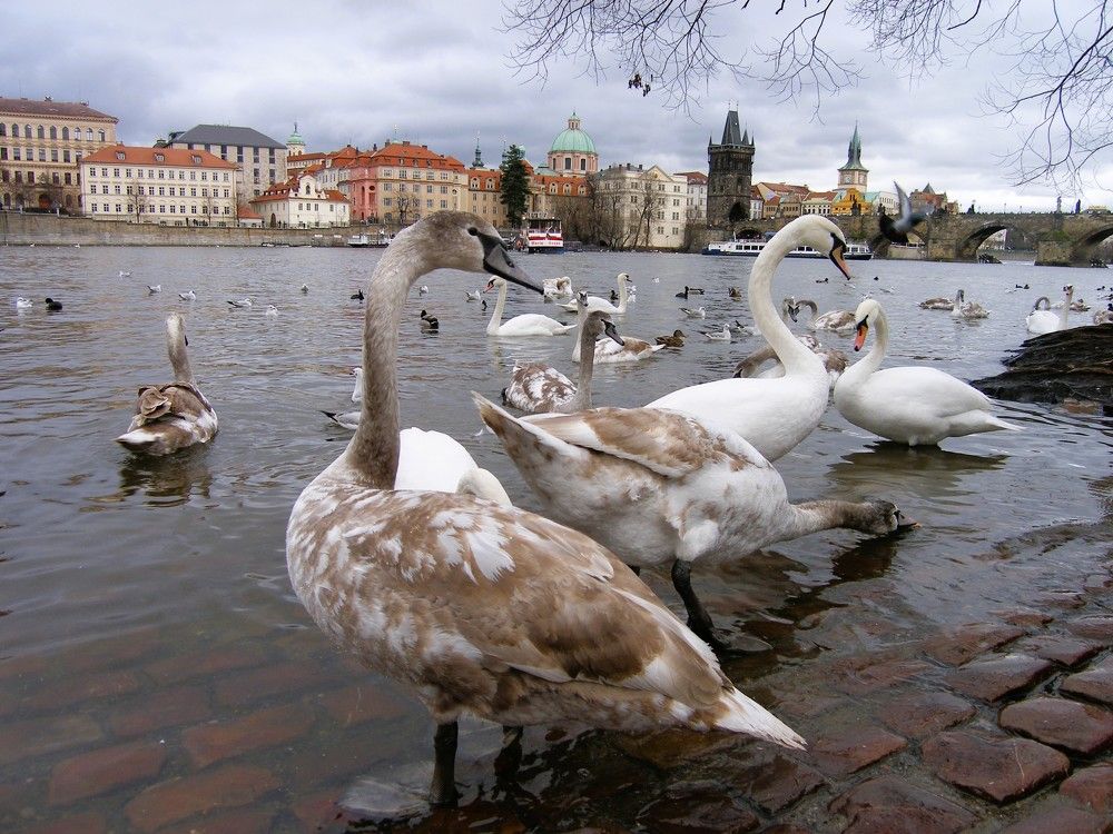 Photograph by Наталия Мельникова