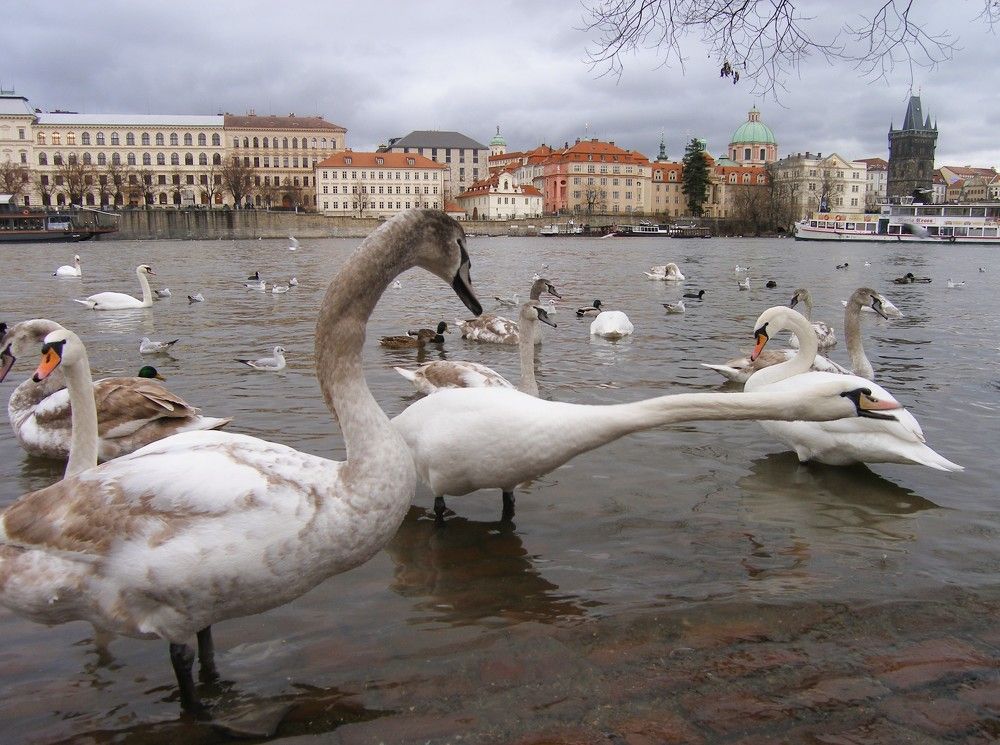 Photograph by Наталия Мельникова