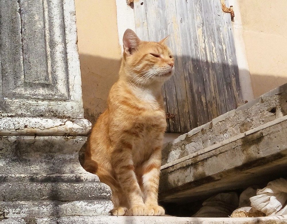 Photograph by Наталия Мельникова