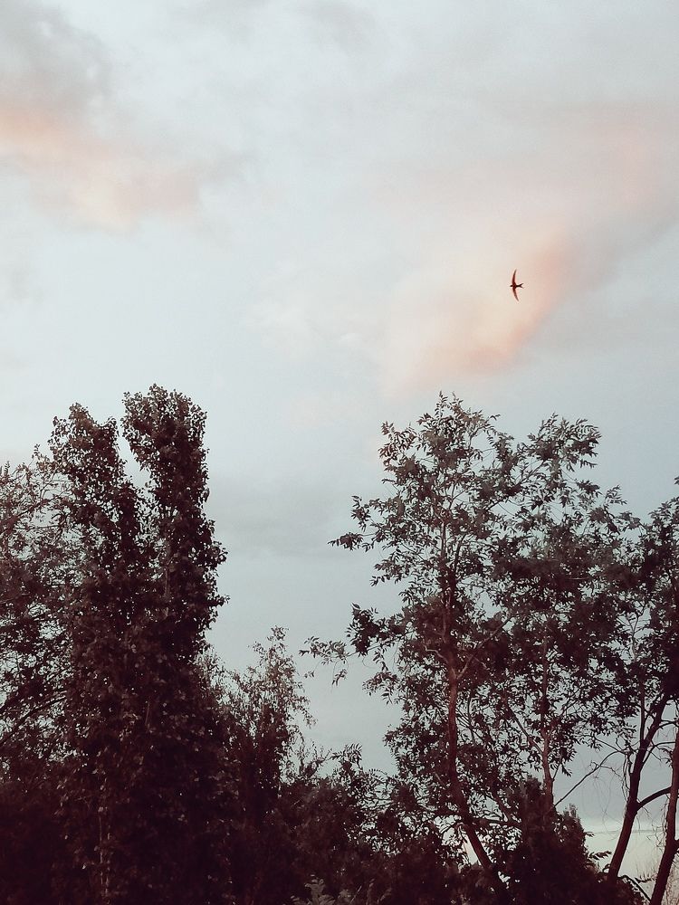 Photograph by Алексей Титков