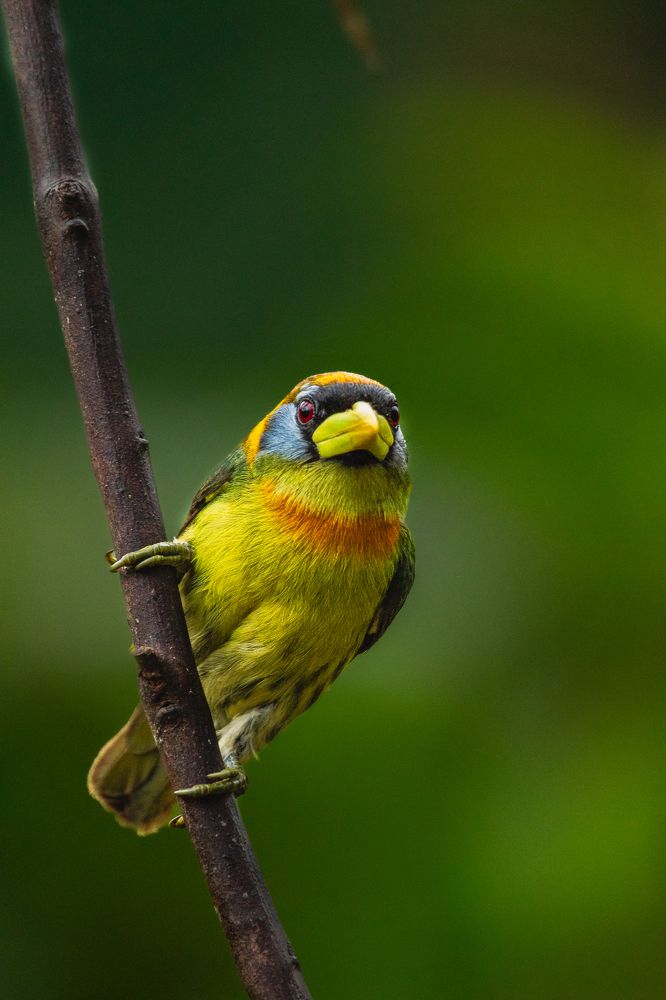 Photograph by Sandra Alvarez