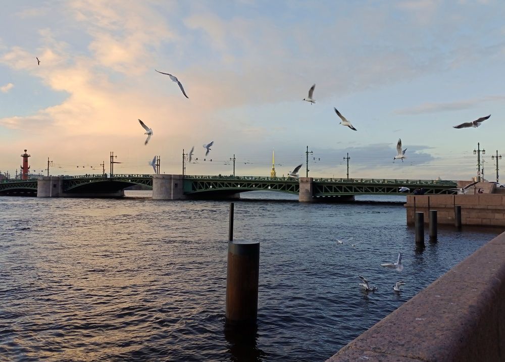 Photograph by Людмила Викулова