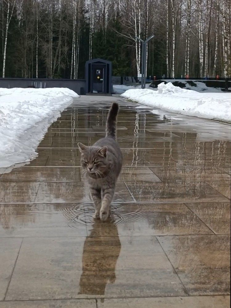 Photograph by Татьяна