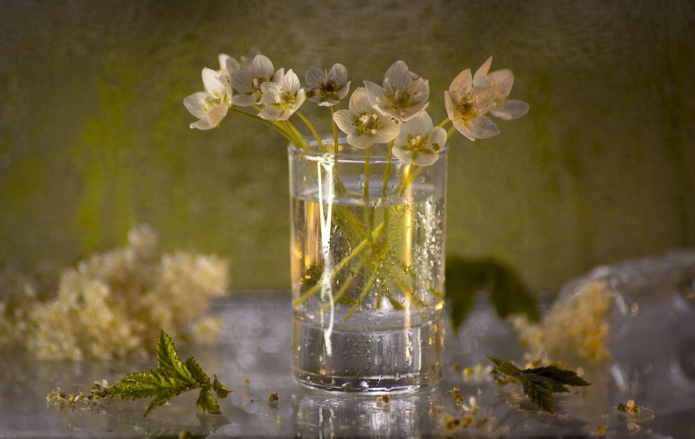 Photograph by Ольга Яскунова