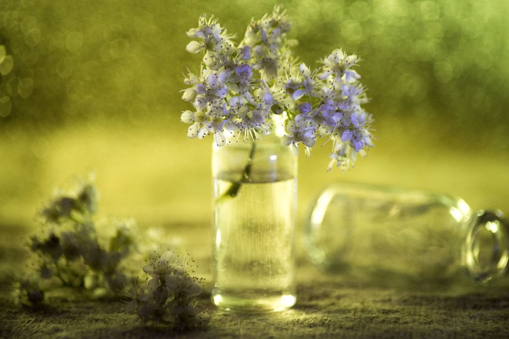 Photograph by Ольга Яскунова