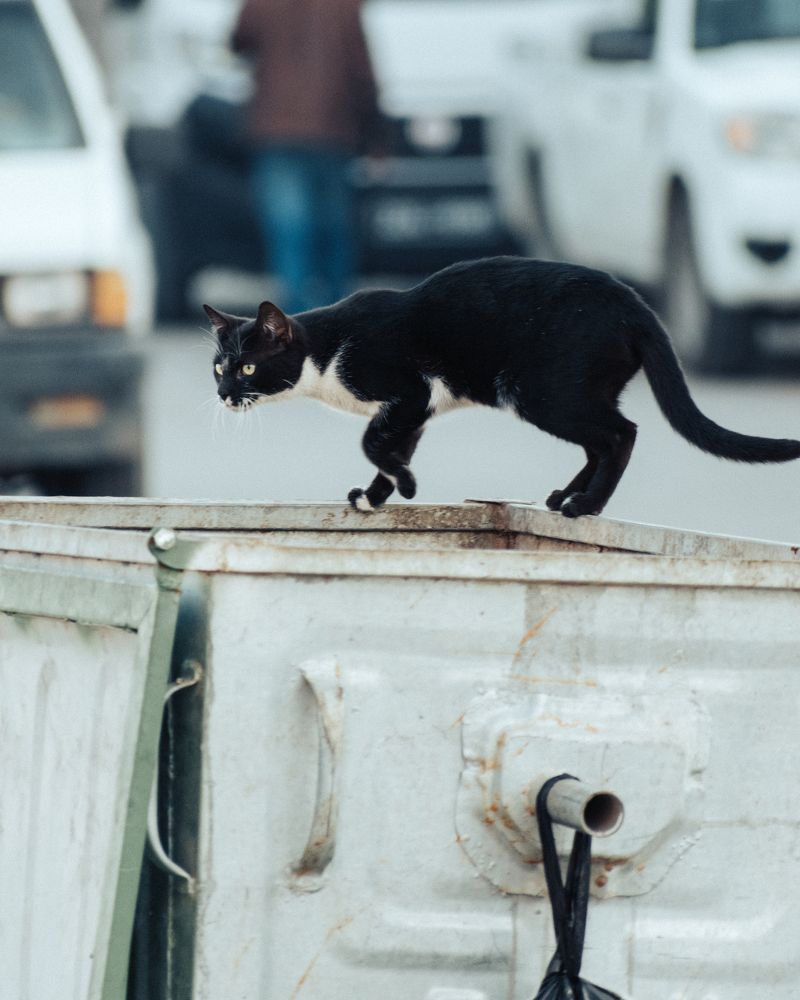 Photograph by Mazen Abdennadher