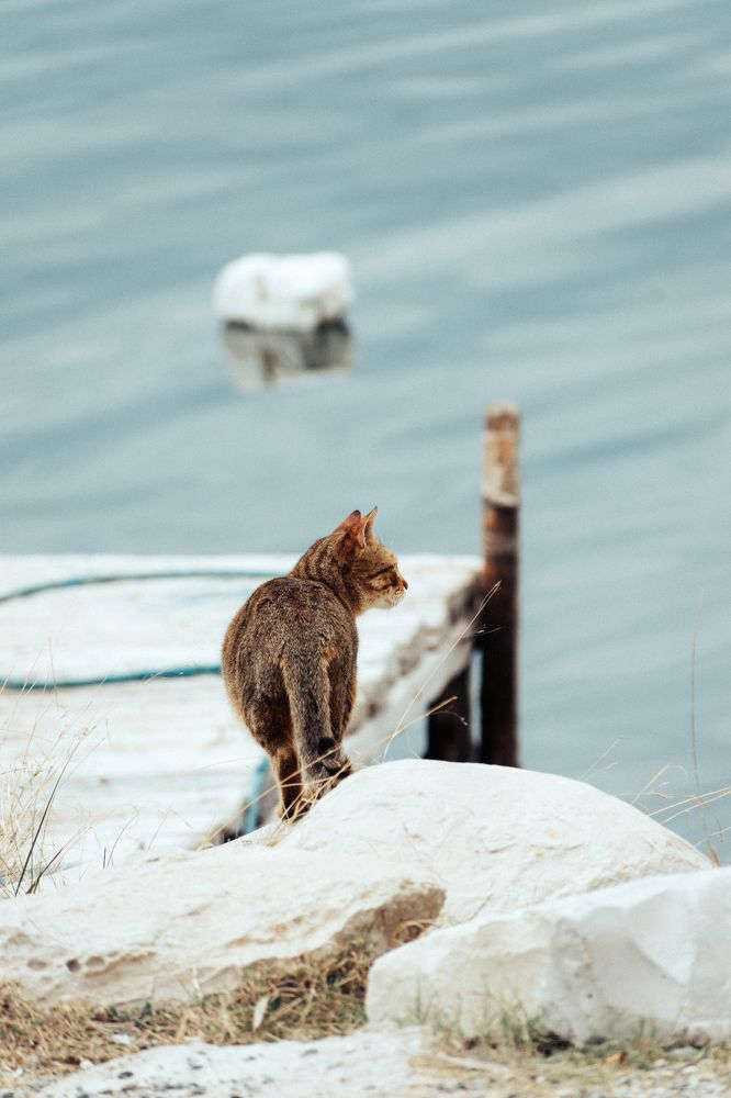 Photograph by Mazen Abdennadher