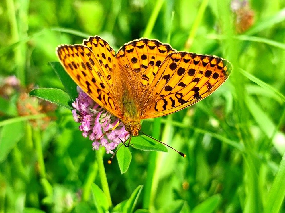 Photograph by Людмила