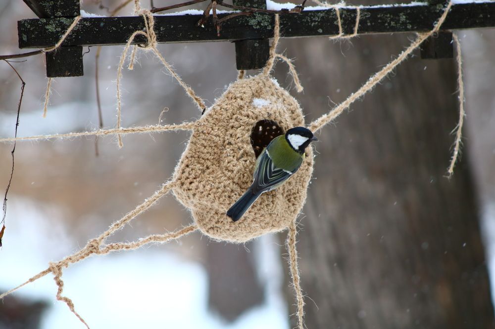 Photograph by Светлана Шуткова