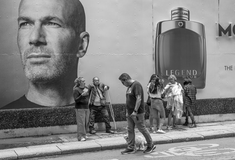 Photograph by gustavo gatto