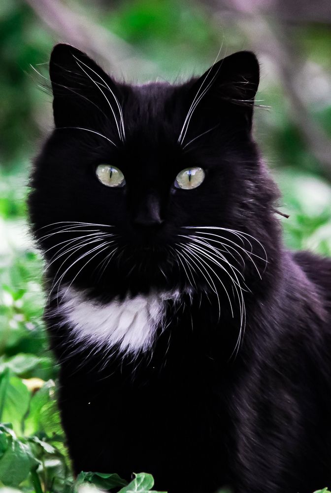 Photograph by Anass Aouissi