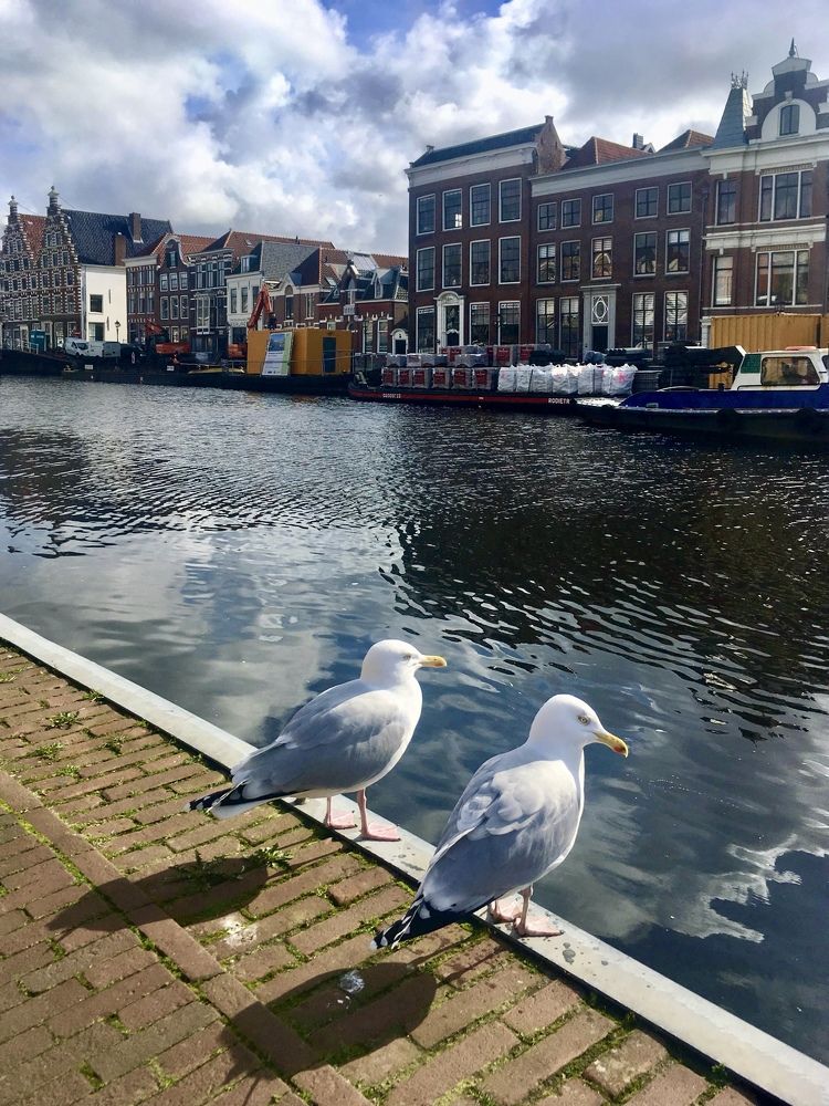 Фотография автора Nadezhda