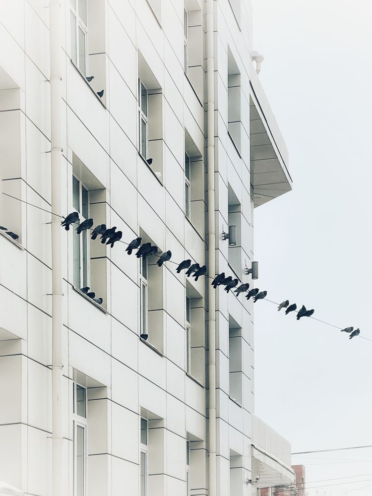 Фотография автора Nadezhda