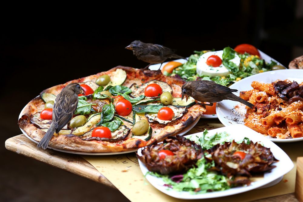 Photograph by Claudio Bonaccorsi