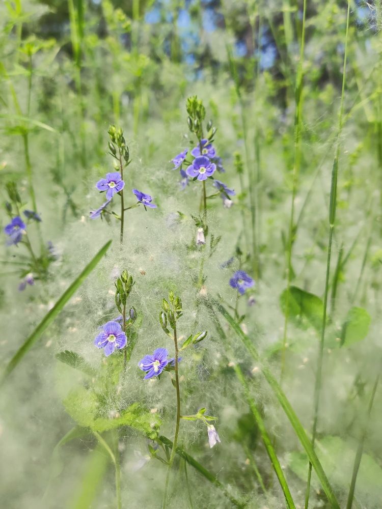 Photograph by Виталий Черепенькин