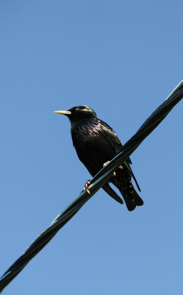 Photograph by Ирина Тихая