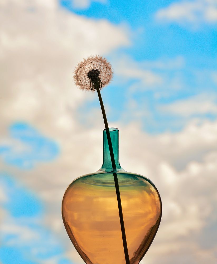 Photograph by Inna Ivanova